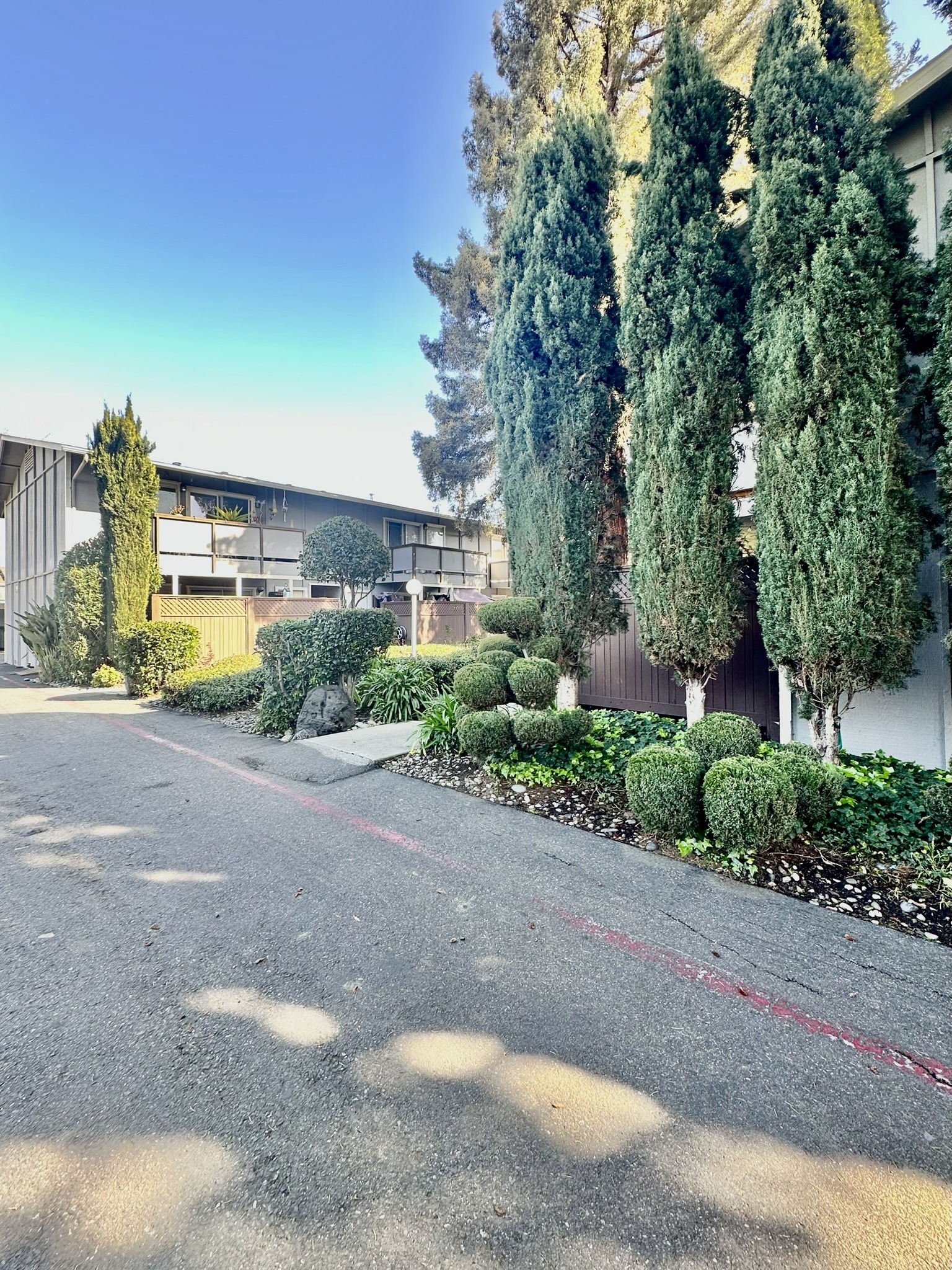 Colony Street Apts photo 3